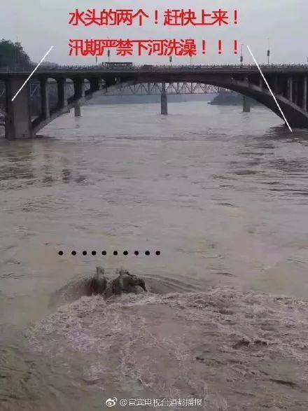 山東濟(jì)南不銹鋼雕塑制作廠家 山東濟(jì)南不銹鋼雕塑制作廠家